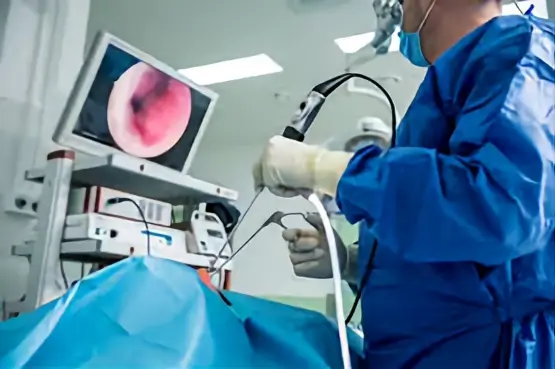 مناضير الأنف والأذن والحنجرة